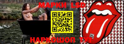 дмт Новокубанск