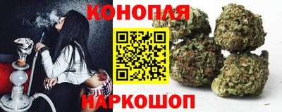 стаф Новодвинск
