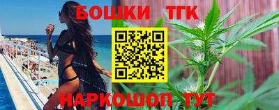 стаф Новодвинск