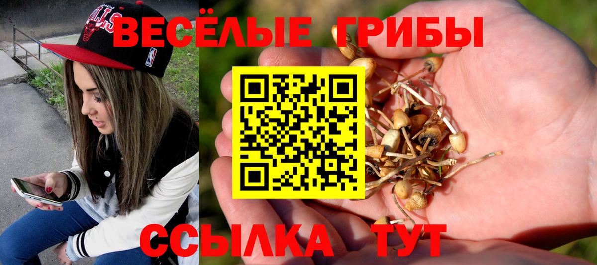 Псилоцибиновые грибы мухоморы Туапсе